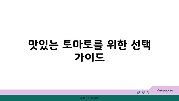 토마토 고르는 법 & 보관법| 최상의 맛과 영양을 위한 완벽 가이드 | 토마토 선택, 토마토 보관, 신선한 토마토