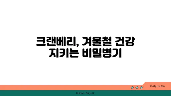 크랜베리의 놀라운 효능 7가지 | 건강, 슈퍼푸드, 항산화, 면역력, 겨울철 건강