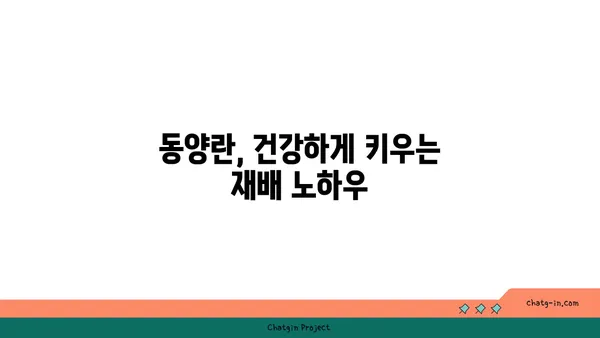 동양란의 매력에 빠지다| 종류별 특징과 관리 가이드 | 동양란, 난초, 난 종류, 재배, 관리, 키우기