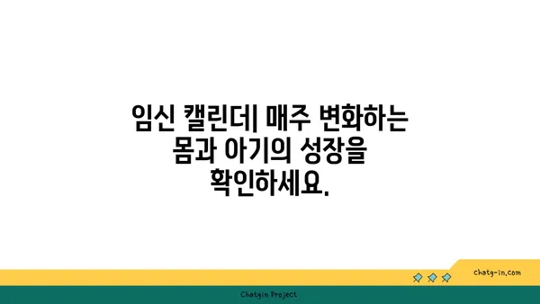 임신 기간 계산기| 나의 예상 출산일은 언제일까요? | 임신, 출산, 예정일, 계산