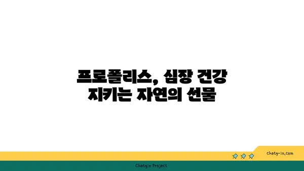 프로폴리스와 심혈관 건강| 심장 건강을 위한 자연의 힘 | 프로폴리스 효능, 심혈관 질환 예방, 건강 관리