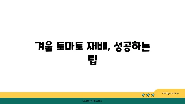 겨울에도 싱싱한 토마토를? 🥶  추위에도 맛있는 토마토 재배 가이드 | 겨울 토마토, 재배 방법, 온실 재배, 토마토 종류