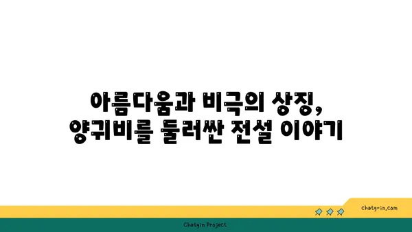 양귀비의 매력, 꽃말과 전설에서 찾아보기 | 꽃, 아름다움, 전설, 역사