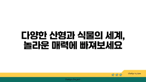 산형과 식물의 매력적인 특징과 종류 | 산형과, 약용식물, 관상식물, 식용식물