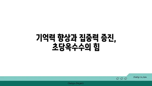 초당옥수수의 신경 보호 효능| 뇌 건강을 위한 새로운 선택 | 뇌 건강, 신경 보호, 항산화 효과, 초당옥수수 효능