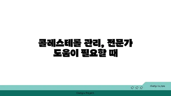 콜레스테롤 제어 3단계| 건강한 심혈관을 위한 길 | 콜레스테롤 관리, 심혈관 건강, 식단, 운동, 생활 습관