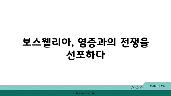 보스웰리아의 놀라운 효능과 활용법| 건강과 아름다움을 위한 완벽 가이드 | 보스웰리아, 항염증 효과, 관절 건강, 피부 개선