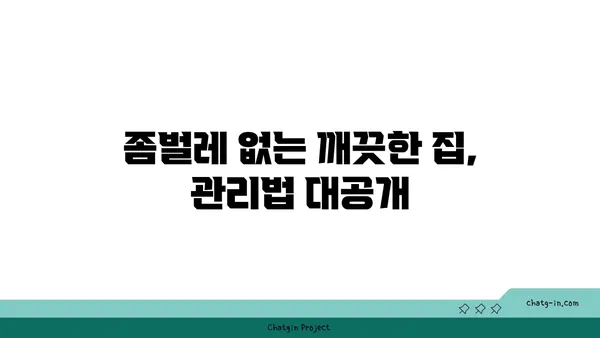 집안 좀과의 전쟁| 효과적인 방역 & 관리 가이드 | 벌레 퇴치, 청소 팁, 예방법