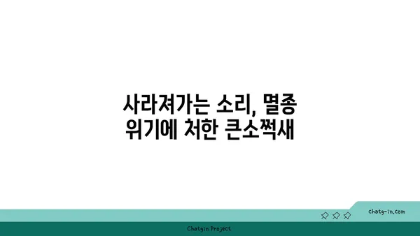 큰소쩍새의 비밀| 멸종위기종, 생태, 그리고 보호 | 소쩍새, 야생동물, 멸종위기, 생태계, 보호