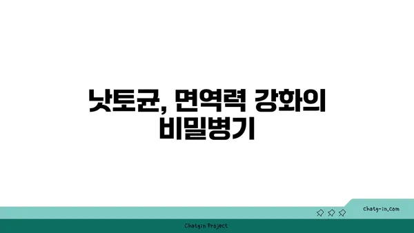 낫토균의 놀라운 효능| 건강, 장 건강, 피부까지 | 낫토, 발효식품, 건강 정보, 장내 세균, 면역력