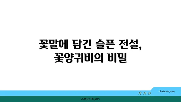 꽃양귀비의 매력에 빠지다| 아름다운 꽃말과 함께 피어나는 전설 | 꽃양귀비, 꽃말, 전설, 양귀비,  poppies