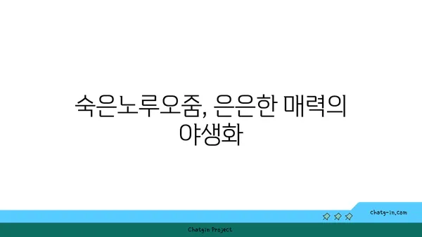 숙은노루오줌의 매력, 꽃말과 함께 만나보세요 | 야생화, 꽃말, 숙은노루오줌, 식물 정보