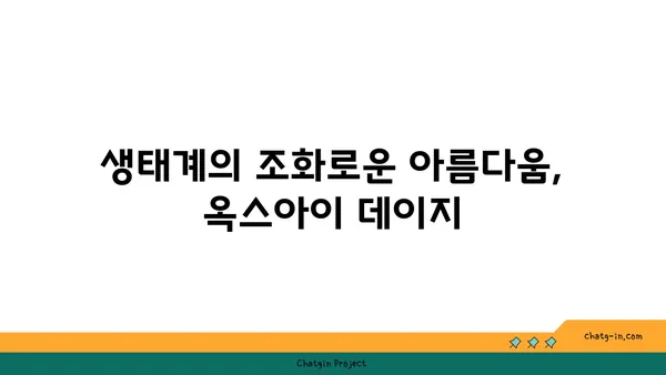 옥스아이 데이지| 환경을 위한 작은 영웅 | 생태계, 꿀벌, 토양 개선, 자연 정화