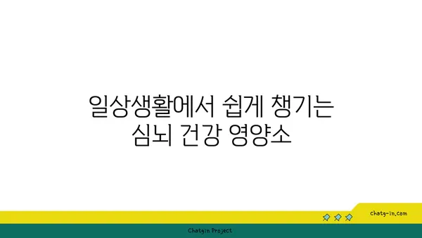 심뇌 건강을 위한 필수 영양소| 5가지 비타민 & 미네랄 | 건강 관리, 뇌 기능 강화, 영양 섭취