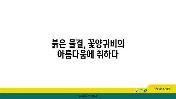 꽃양귀비의 매력에 빠지다| 아름다운 꽃말과 함께 피어나는 전설 | 꽃양귀비, 꽃말, 전설, 양귀비,  poppies