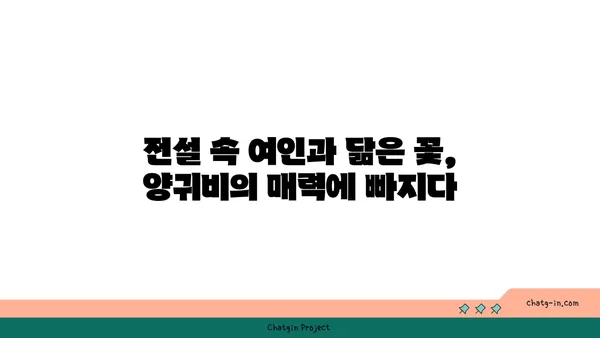 양귀비의 매력, 꽃말과 전설에서 찾아보기 | 꽃, 아름다움, 전설, 역사