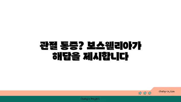 보스웰리아의 놀라운 효능과 활용법| 건강과 아름다움을 위한 완벽 가이드 | 보스웰리아, 항염증 효과, 관절 건강, 피부 개선