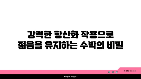 수박의 놀라운 건강 효과| 당신이 몰랐던 5가지 이점 | 수박, 건강, 효능, 비타민, 항산화