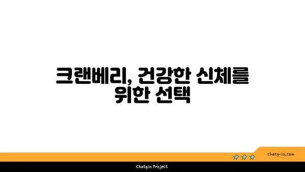 크랜베리의 놀라운 효능 7가지 | 건강, 슈퍼푸드, 항산화, 면역력, 겨울철 건강