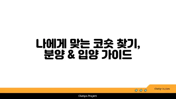 코리안 숏헤어 완벽 가이드| 성격, 건강, 관리, 분양까지 | 고양이, 털, 종류, 입양