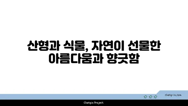 산형과 식물의 매력적인 특징과 종류 | 산형과, 약용식물, 관상식물, 식용식물