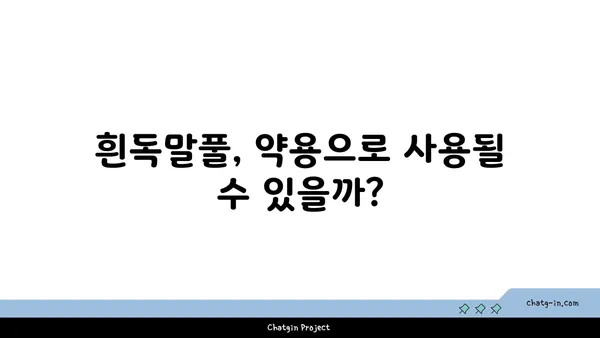 흰독말풀의 매력과 위험성| 아름다움 뒤에 숨겨진 독성 | 식물, 독성, 주의사항, 흰독말풀 효능, 흰독말풀 재배