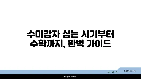 수미감자 집에서 키우기| 초보자를 위한 쉬운 재배 가이드 | 수미감자, 감자 재배, 텃밭, 베란다 농장