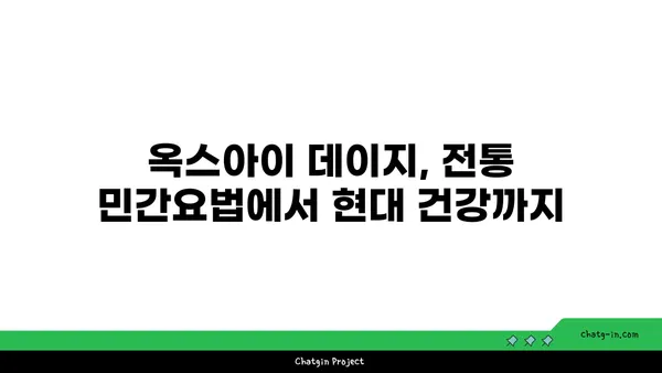 옥스아이 데이지의 놀라운 효능| 자연 치유를 위한 당신의 선택 | 옥스아이 데이지, 천연 치료, 건강, 허브, 민간요법