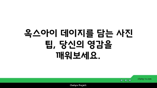 옥스아이 데이지의 매력, 자연 사진가를 사로잡다| 영감을 불어넣는 아름다움 | 야생화, 꽃 사진, 자연 사진, 촬영 팁