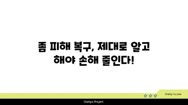 좀 때문에 망가지는 내 집, 얼마나 손해볼까요? | 숨겨진 비용 폭로, 좀 피해 복구 가이드