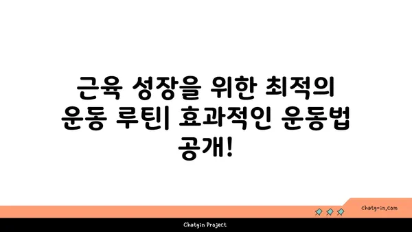 스테로이드 없이 근육 키우기| 자연스럽게 근성장을 위한 7가지 전략 | 근육량 증가, 운동 루틴, 식단 관리, 영양 보충제