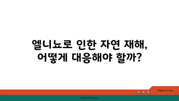 엘니뇨 현상의 영향과 대비 전략 | 기후 변화, 자연 재해, 엘니뇨 예측, 엘니뇨 대응