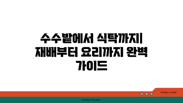 수수의 모든 것| 재배부터 요리까지 완벽 가이드 | 수수 효능, 수수 떡, 수수죽, 수수 밭, 수수 재배, 수수 요리법