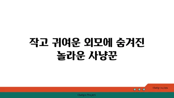 담비, 알고 보면 신비로운 동물! | 담비 특징, 생태, 서식지, 보호