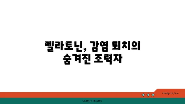 멜라토닌과 면역 체계| 감염 퇴치와 건강 증진의 놀라운 연결 | 멜라토닌, 면역력, 건강, 수면, 감염