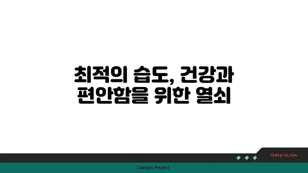 인간의 쾌적함을 위한 습도의 과학| 최적의 상대 습도 찾기 | 쾌적한 실내 환경, 습도 조절, 건강 팁