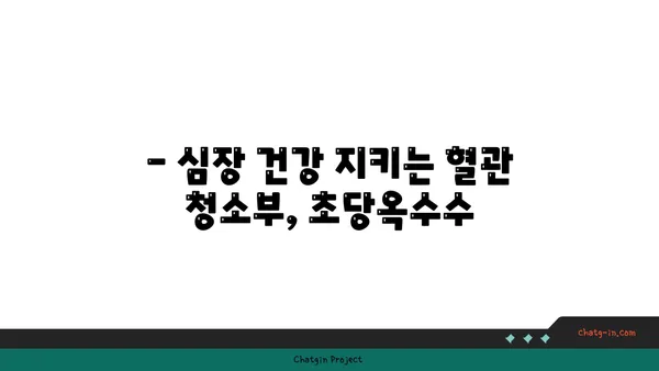 심장 건강을 위한 초당옥수수의 놀라운 효능 | 건강 식단, 혈관 건강, 항산화 효과