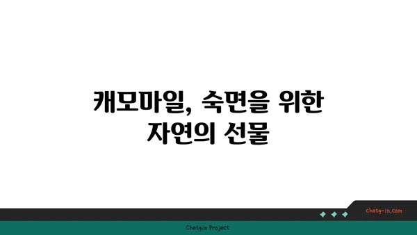 캐모마일의 효능과 활용법| 숙면, 피부, 건강까지 | 허브, 차, 천연, 레시피, 부작용