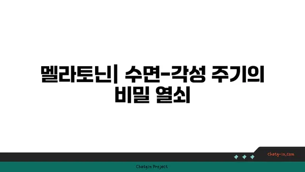 멜라토닌으로 수면-각성 주기를 조절하는 효과적인 방법| 숙면을 위한 맞춤 가이드 | 수면장애,  멜라토닌 효능, 생체리듬