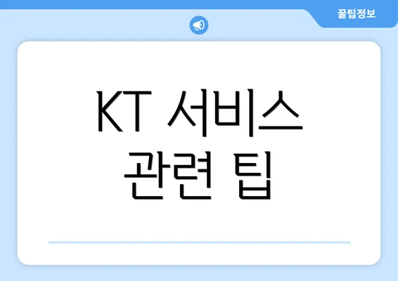 KT 서비스 관련 팁