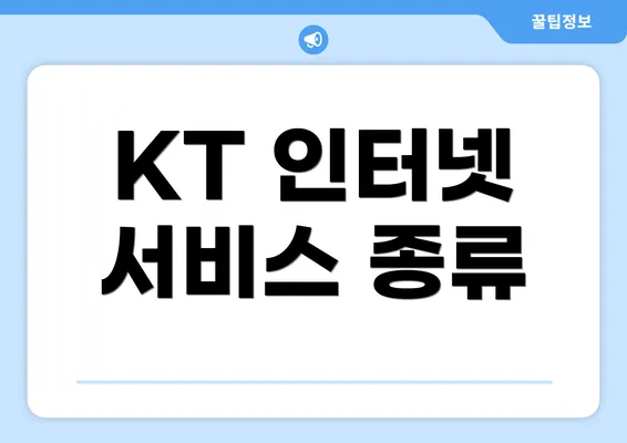 KT 인터넷 서비스 종류