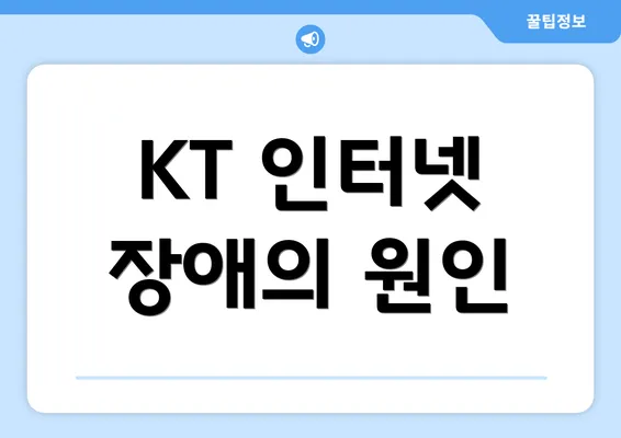 KT 인터넷 장애의 원인