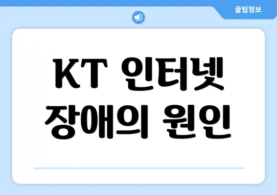 KT 인터넷 장애의 원인