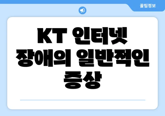 KT 인터넷 장애의 일반적인 증상