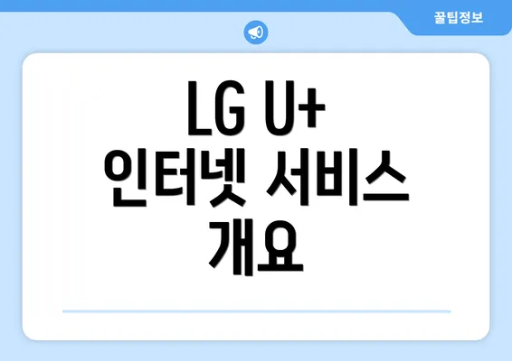 LG U+ 인터넷 서비스 개요