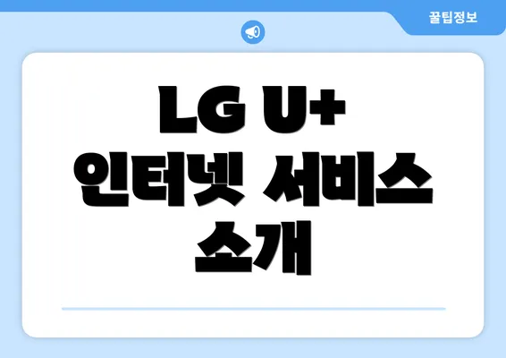 LG U+ 인터넷 서비스 소개