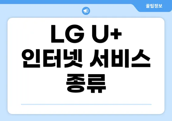 LG U+ 인터넷 서비스 종류