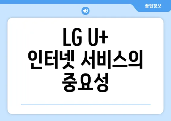 LG U+ 인터넷 서비스의 중요성