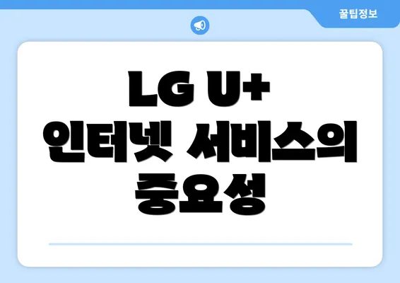 LG U+ 인터넷 서비스의 중요성