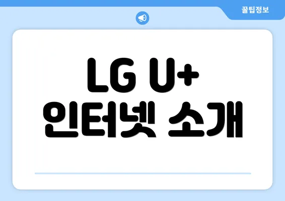 LG U+ 인터넷 소개